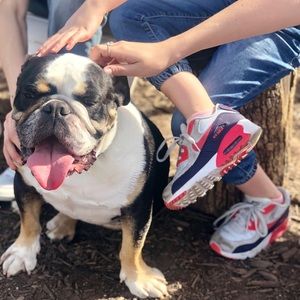 NIKE Air Max (Gray/Deep Plum/Coral)